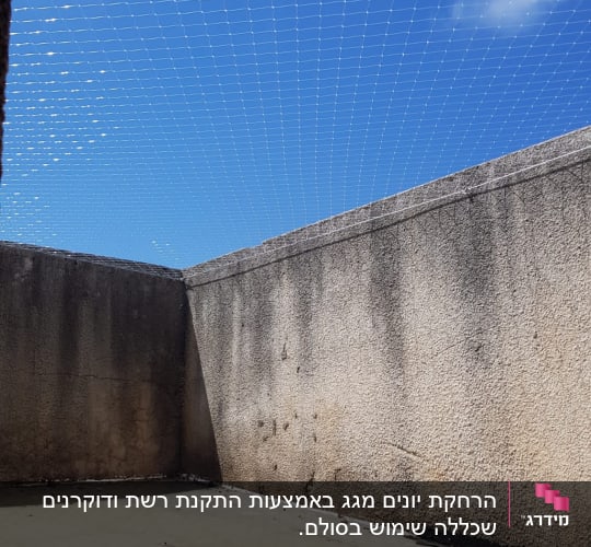 רשת למניעת כניסת יונים על גג בטון